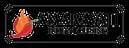 Amaravati Indian Cuisine